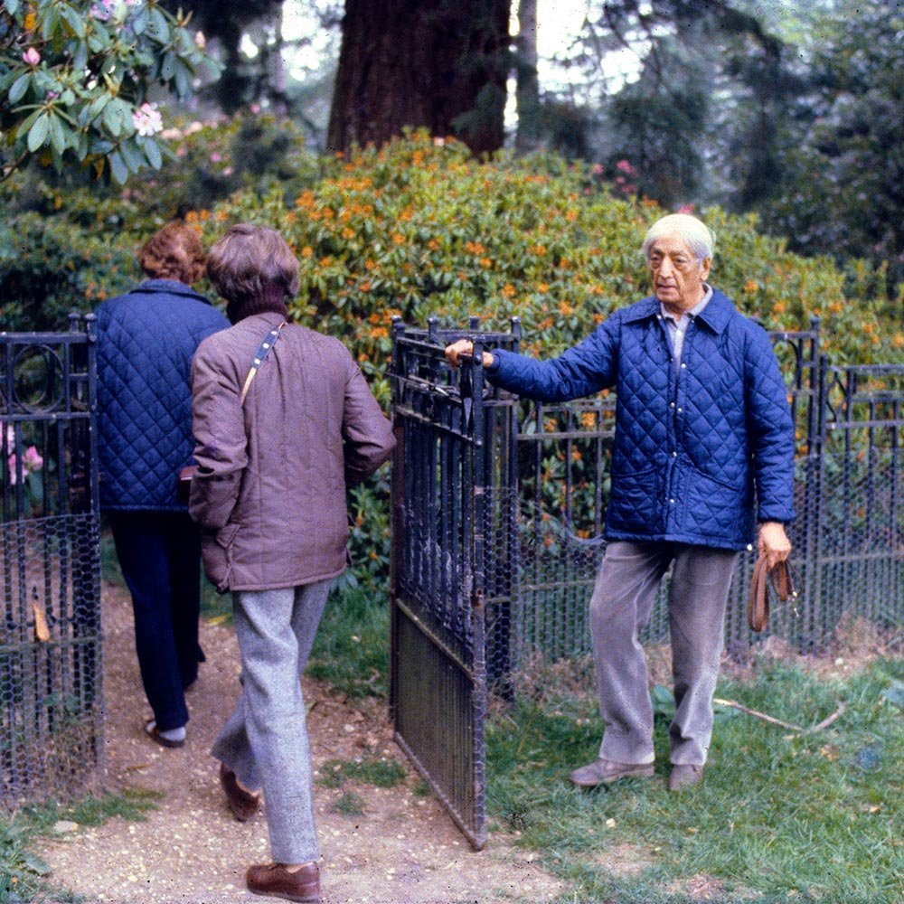 Krishnamurti at the Grove, Brockwood Park
