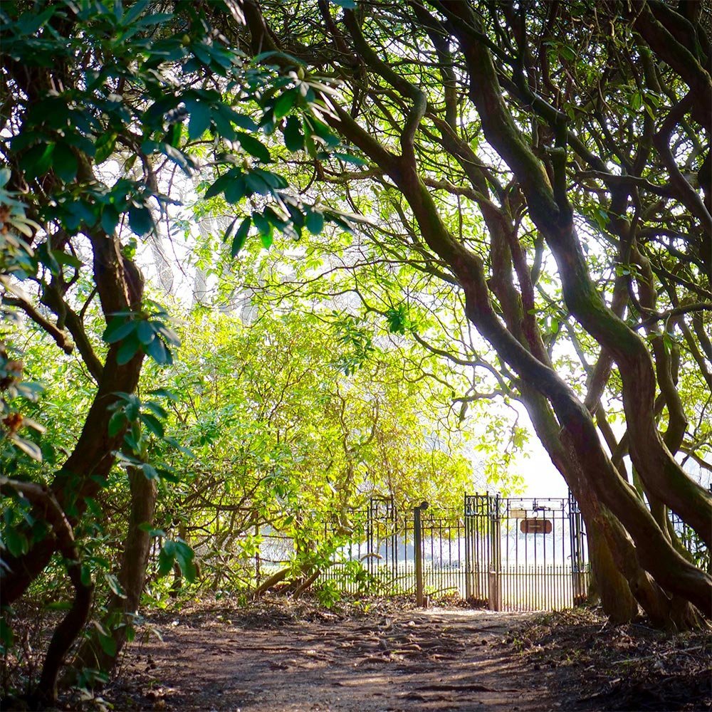 The gate of the Grove, Brockwood Park