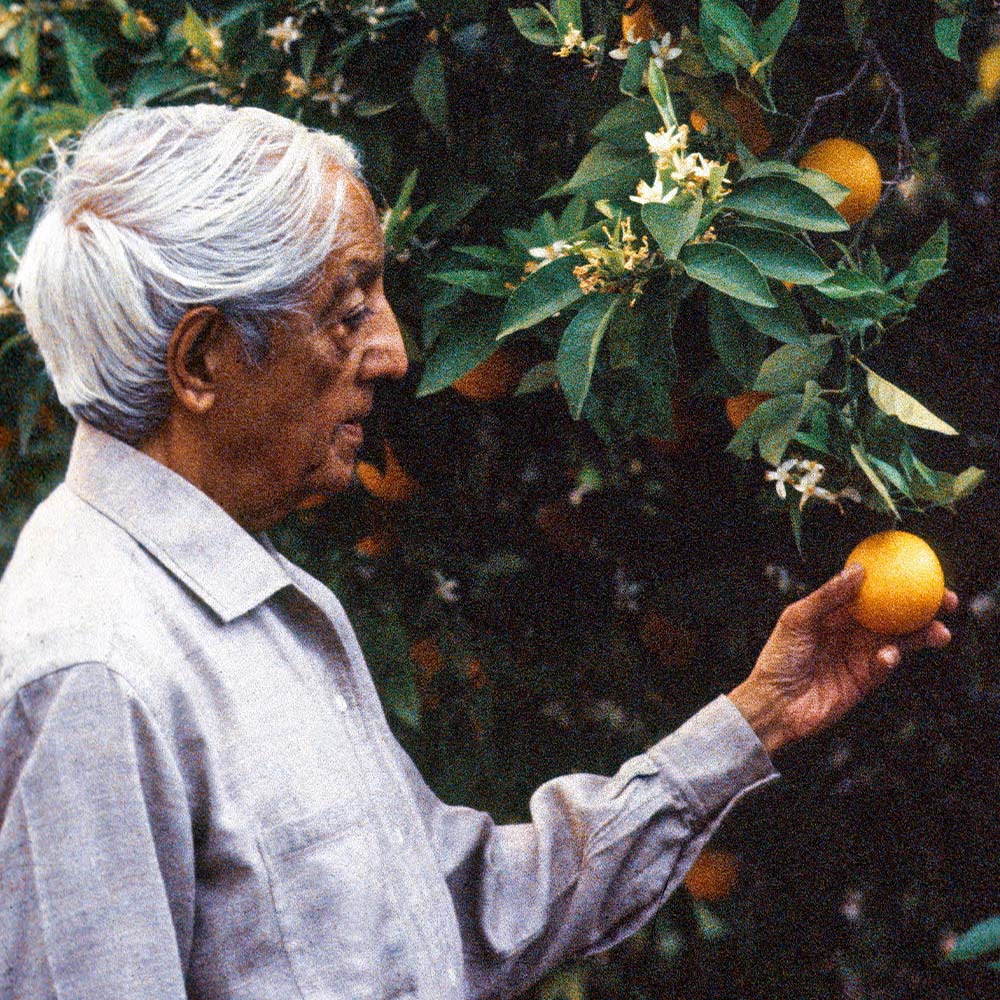 From the Archives Vol. 1